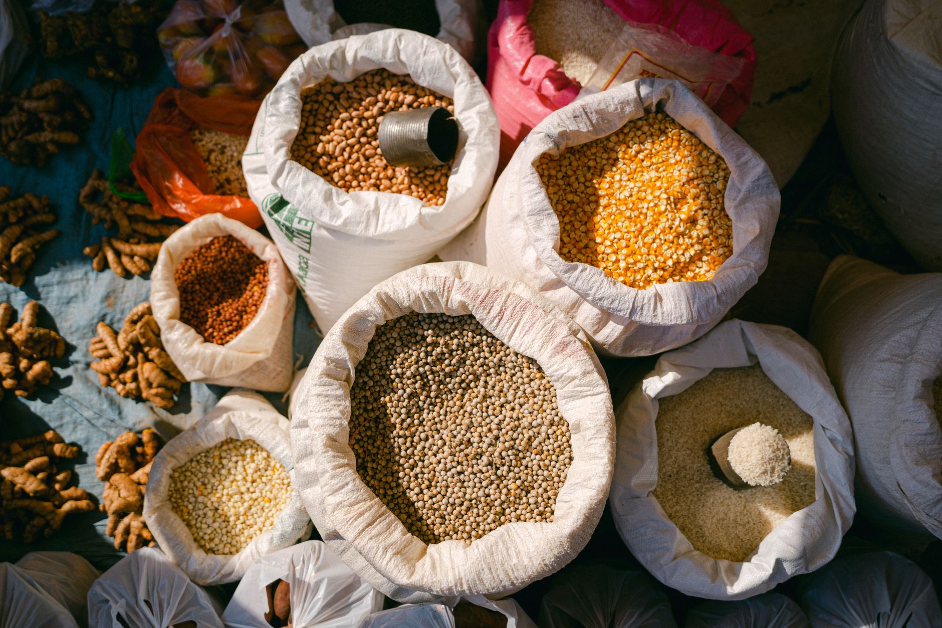 organic cereals legumes