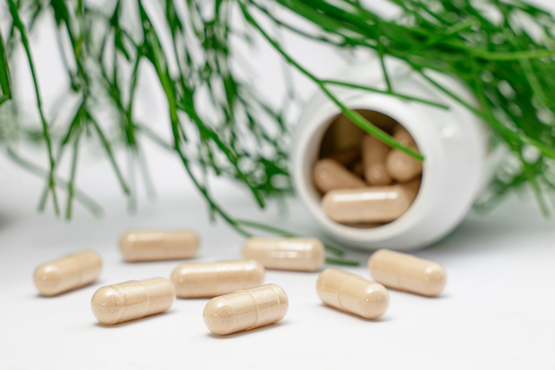 food supplements, empty capsules, natural ingredients