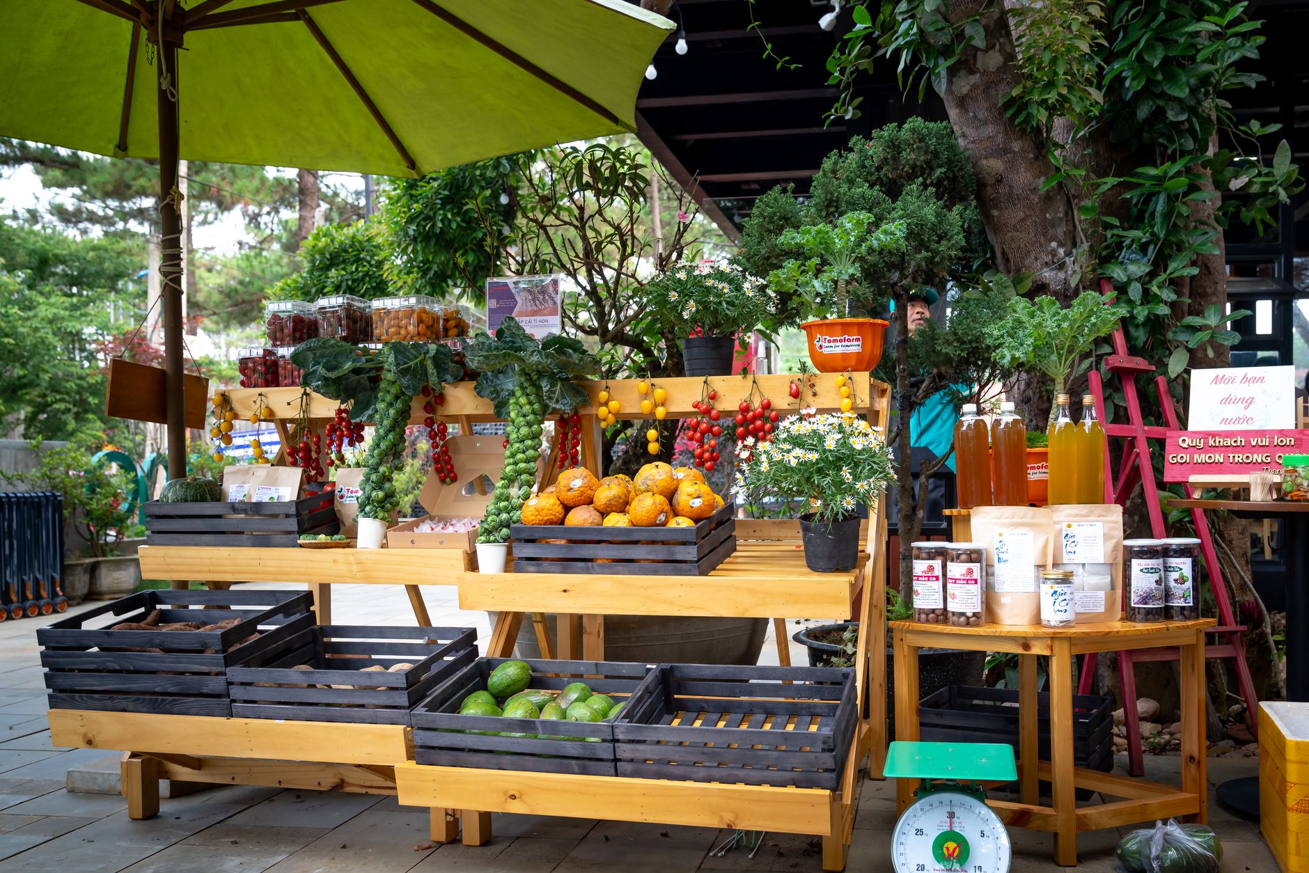 organic vegetable market