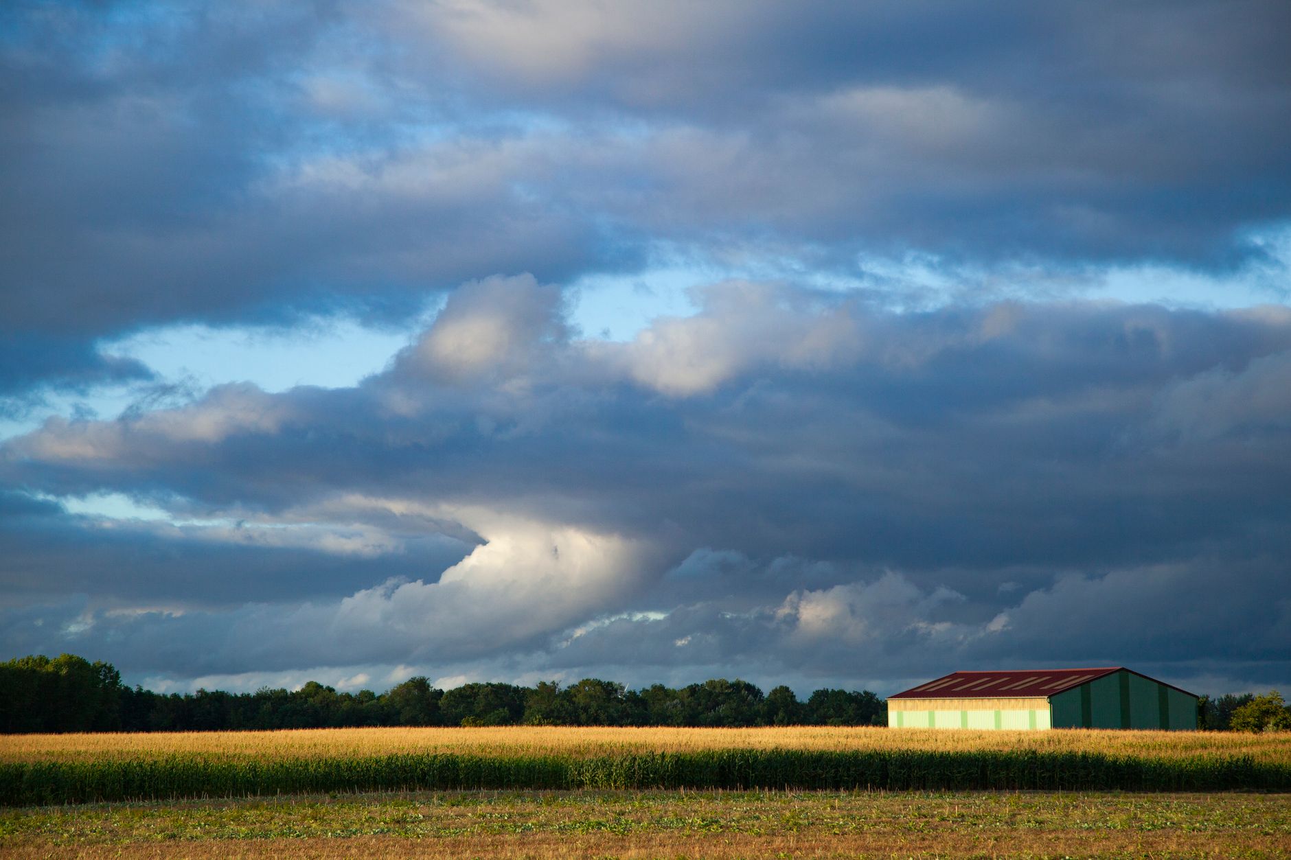 wheat field rural landscape France